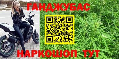 гашик Гусев