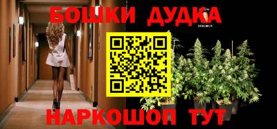 гашик Гусев