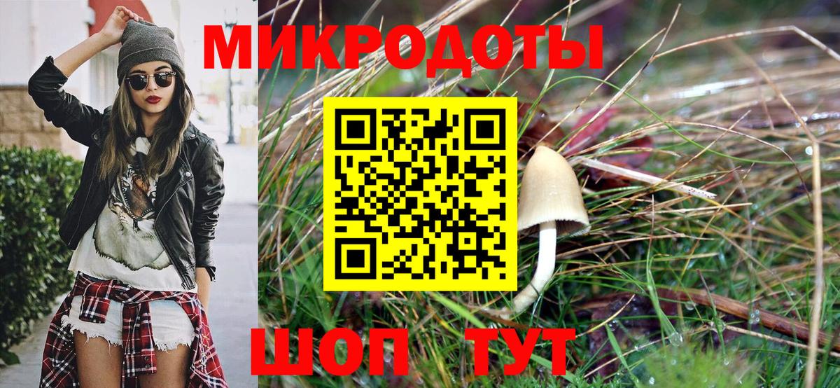Галлюциногенные грибы GOLDEN TEACHER  Вход с VPN  Заречный 